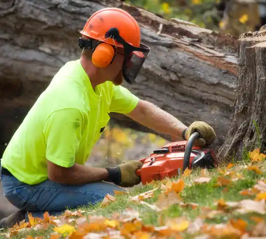 tree services Sacred Heart